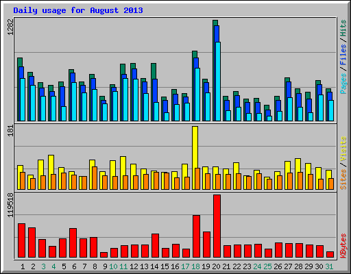 Daily usage for August 2013