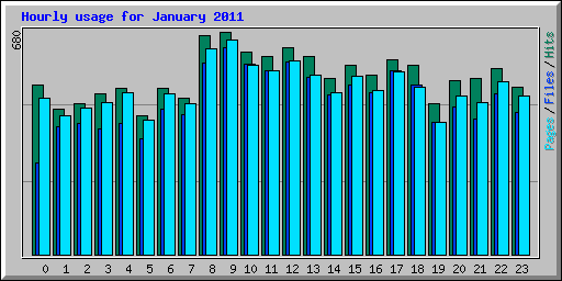 Hourly usage for January 2011
