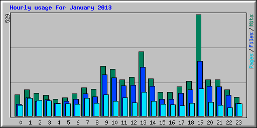 Hourly usage for January 2013