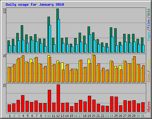 Daily usage for January 2010
