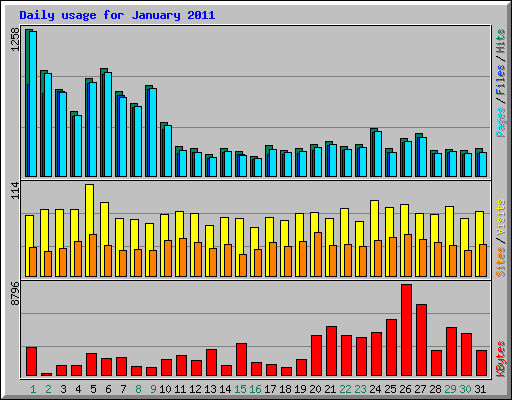 Daily usage for January 2011