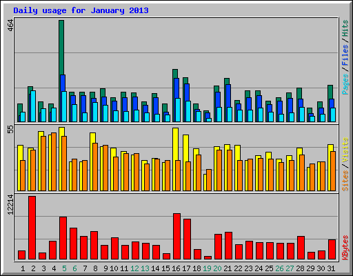 Daily usage for January 2013