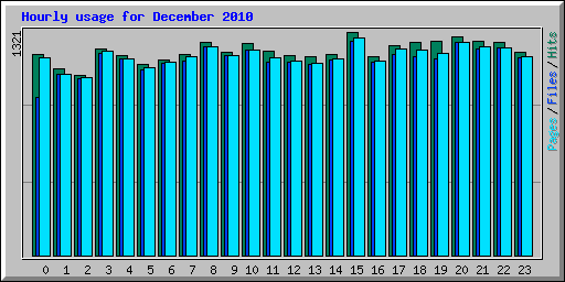 Hourly usage for December 2010