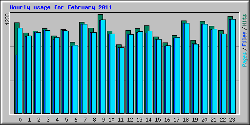 Hourly usage for February 2011