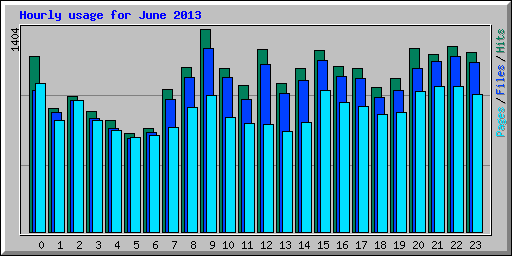 Hourly usage for June 2013